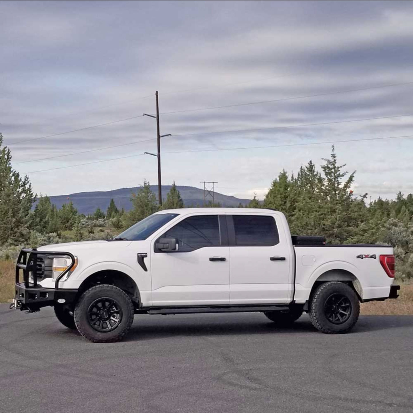 BUCKSTOP - CLASSIC 1 BUMPER F150