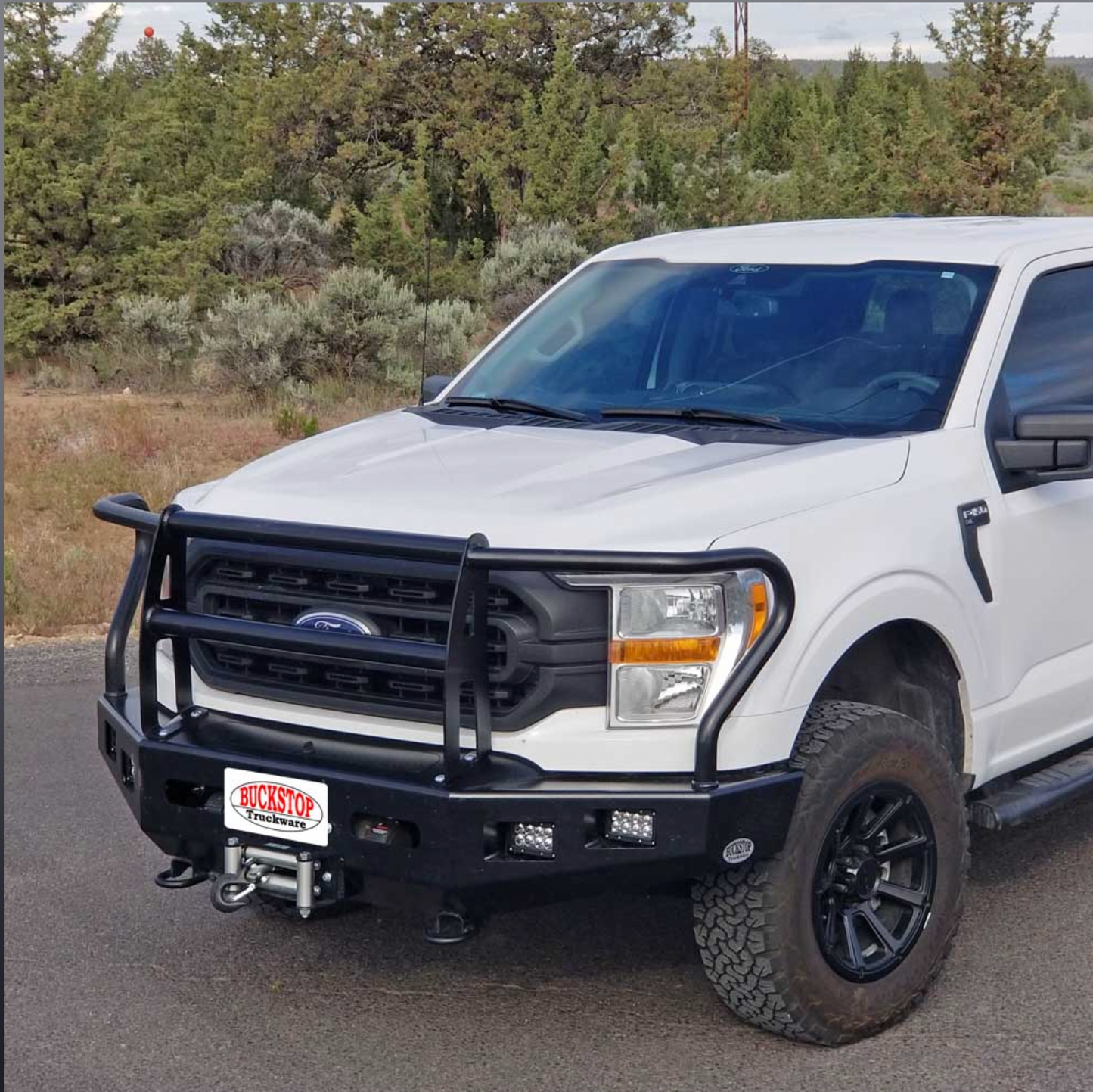 BUCKSTOP - CLASSIC 1 BUMPER F150