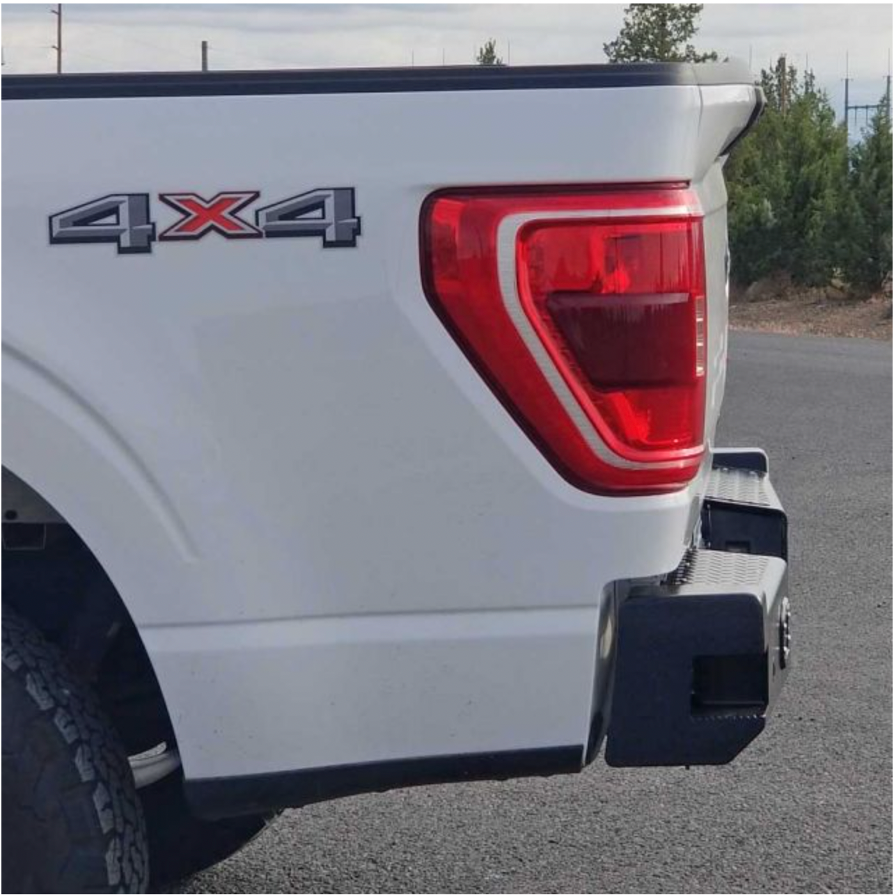 BUCKSTOP F150 REAR BUMPER