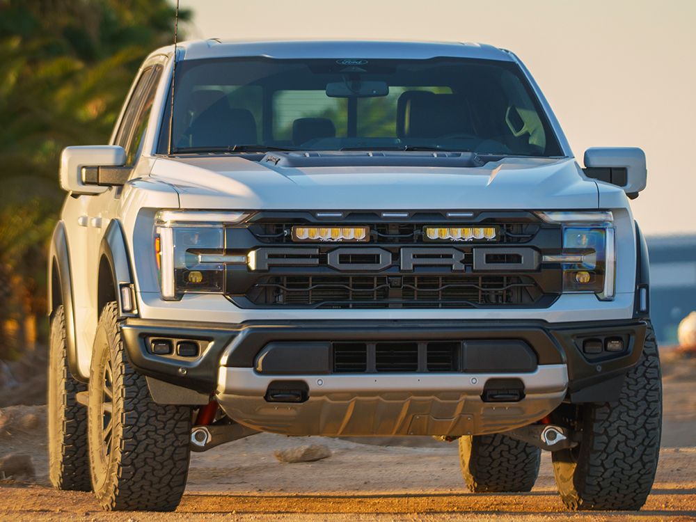 Triple R - Ford F150 Raptor Grill Kit (2024+)
